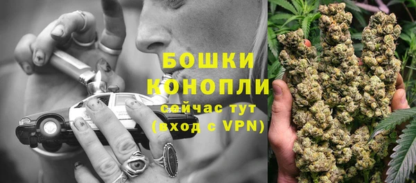 бутират Богданович
