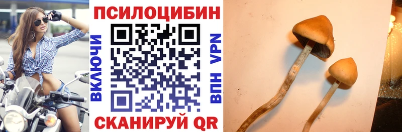 где найти   Десногорск  Галлюциногенные грибы мухоморы 